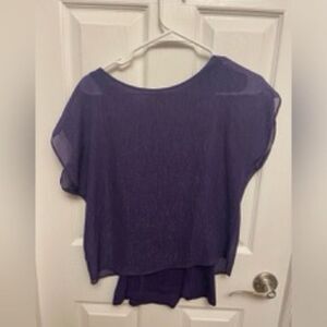 Dark Purple Eggplant Express Sleeve Top Blouse Shirt with Glitter XS EXTRA SMALL